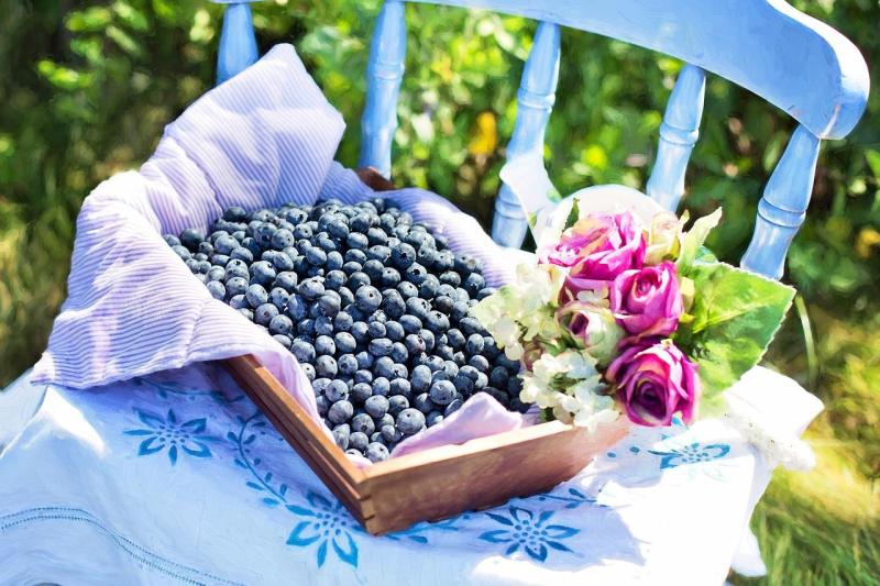 blueberries, basket, fresh-870514.jpg