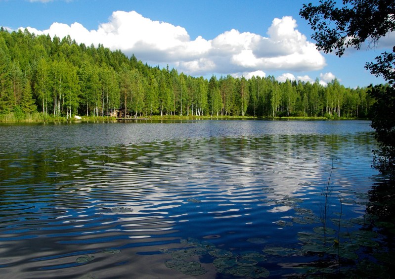 finland, lake, forest-905724.jpg
ヴァージン・リバー 