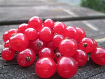 redcurrants, many currants, currant-2654337.jpg