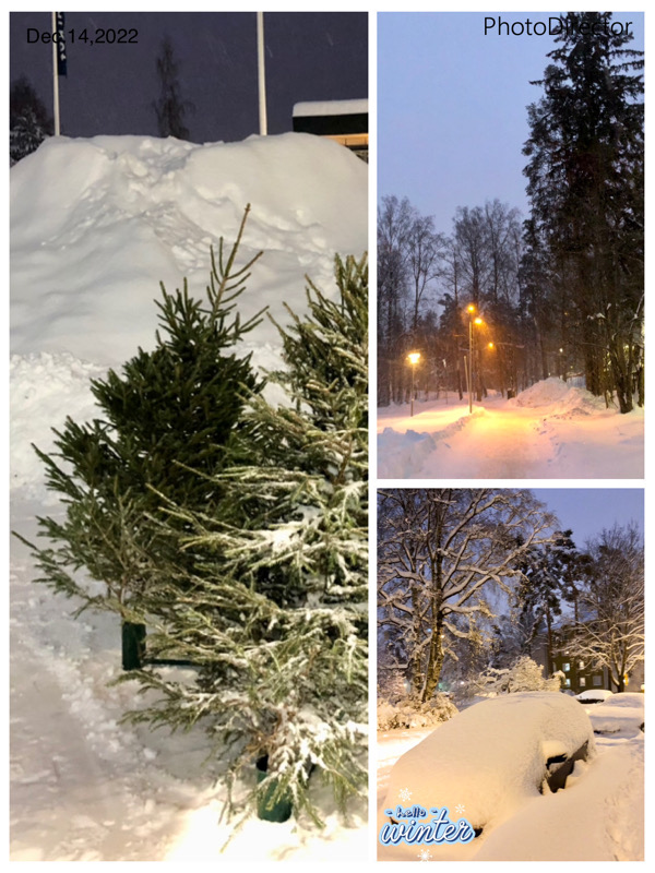 christmas tree, snow, car