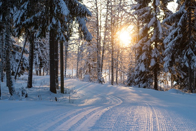 finland winter